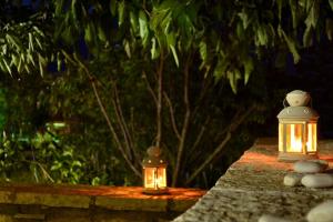 A garden outside ΤΟ ΠΕΤΡΙΝΟ - Καλοκαιρινό Σπίτι κοντά στα Σύβοτα - ΦΑΣΚΟΜΗΛΙΑ