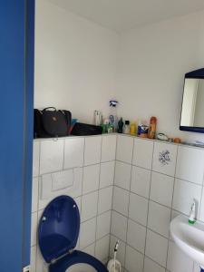 La salle de bains est pourvue de toilettes bleues et d'un lavabo. dans l'établissement Rheinblick Waldshut 2, à Waldshut-Tiengen