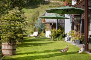 Zahrada ubytování Landhotel Spreitzhofer