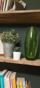 two plants and a green vase on a shelf at Chez Margarett in Royan