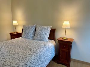 ein Schlafzimmer mit einem Bett und zwei Lampen an Tischen in der Unterkunft Le Mulberry in Bayeux