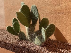 Fotografie z fotogalerie ubytování Beautiful 5 * Penthouse very near the beach v destinaci Marbella