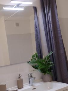 Chambres dans guest house à Lyon-GARE Part-Dieu tesisinde bir banyo