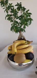 a bunch of bananas and a plant in a bowl at Il fiore di loto in San Felice Circeo