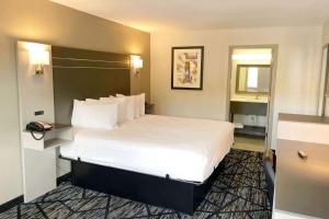a hotel room with a large bed and a mirror at Baymont by Wyndham Dothan in Dothan