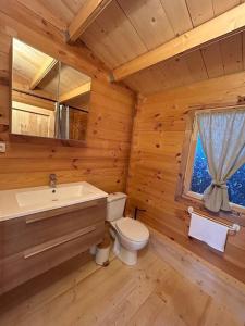 a log cabin bathroom with a toilet and a sink at Chalet bois jacuzzi in Bessan