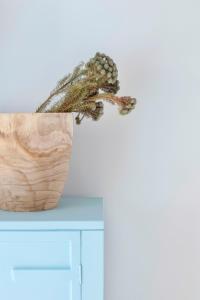 a lizard is sitting on top of a cabinet at Casa Azul do Olival in Alcácer do Sal