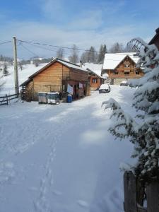 un patio cubierto de nieve frente a una cabaña de madera en Rustic Ghetar, en Gârda de Sus