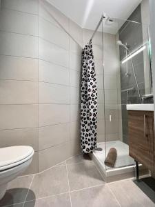 ein Bad mit einer Dusche, einem WC und einem Waschbecken in der Unterkunft LE PARADIS FISCAL, 5min Bâle, parking privé in Saint-Louis