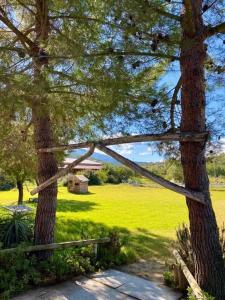 uma árvore com uma corda amarrada ao lado de um campo em Agriturismo Su Niu em Uta