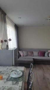 ein Wohnzimmer mit einem Sofa und einem Tisch in der Unterkunft Green Park Domina apartment in Riga