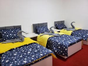a group of four beds in a room at petra Casablanca lodge in Wadi Musa