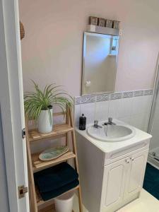 bagno con lavandino e specchio di Gwel Lowarth Central Penzance - lovely one bedroom apartment. a Penzance