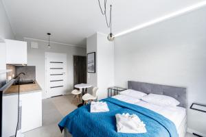 Kuchnia lub aneks kuchenny w obiekcie Balticus Apartamenty Standard Promenada Gwiazd 14