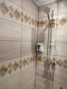 a bathroom with a shower with a glass door at APARTAMENT HD ELI in Hunedoara