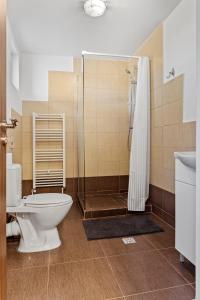 een badkamer met een toilet en een douche bij Casa Mamaia Pasa in Murighiol