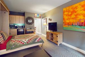 a bedroom with a bed and a tv and a kitchen at Bella Paradiso 14 in Eureka Springs