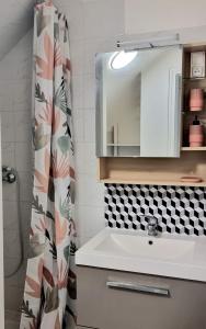 uma casa de banho com um lavatório e uma cortina de chuveiro em Studio équipé: TGV, RER, Paris, Saclay, ORLY em Massy