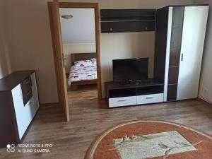 Televízia a/alebo spoločenská miestnosť v ubytovaní Apartament Polański z tarasem na dachu