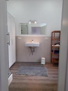 bagno con lavandino e specchio di Ferienwohnung Am Geysirzentrum a Andernach
