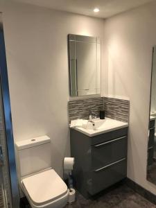 ein Badezimmer mit einem WC, einem Waschbecken und einem Spiegel in der Unterkunft House On The Hill in Richmond