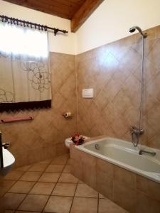 Phòng tắm tại Agriturismo Botro