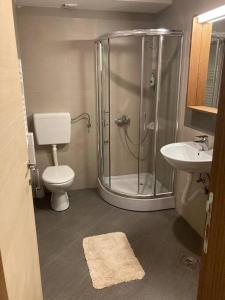 a bathroom with a shower and a toilet and a sink at Apartman Jelka Brzece in Brzeće