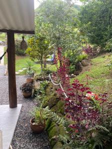 a garden with lots of plants and flowers at Vale da Paz in Guapimirim