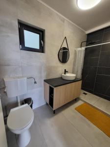 uma casa de banho com um WC, um lavatório e um chuveiro em Casa Mina Divici em Divici