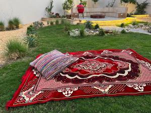 una alfombra roja sobre la hierba en un patio en Casa Shakhbout, en Abu Dabi