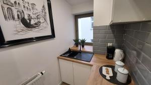 Kuchnia lub aneks kuchenny w obiekcie Apartamenty KB Toruń