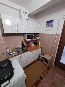een kleine keuken met een wastafel en een magnetron bij Vigaro Vgr in Braşov