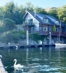 a house on a dock with a swan in the water at Harbour Master in Kilmelfort