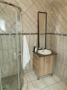 a bathroom with a sink and a shower at Kgakgamela road lodge in Driekop