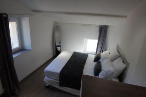 1 dormitorio con 1 cama y 2 ventanas en Gîte L'armu avec Spa Privé en Savas