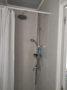 a shower with a shower head in a bathroom at Gite Les Eylauds in Pionsat