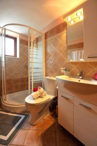 Un baño con inodoro, ducha y lavabo. en Villa Casa Bianca Purple Apartment, en Bogdanátika