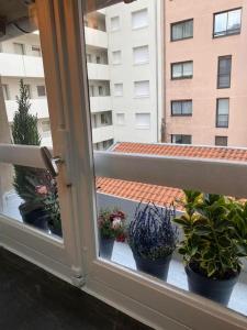 Studio cocooning et refait à neuf. Lyon 06 في ليون: نافذة مفتوحة مع نباتات الفخار على الشرفة