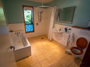 a bathroom with a tub and a toilet and a sink at Aorere House - Collingwood Holiday Home in Collingwood