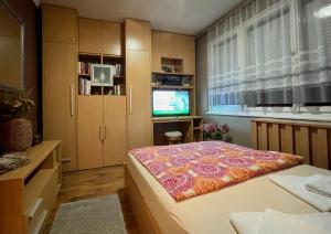 Dormitorio pequeño con cama y TV en Lola Lakásapartman Nagykanizsa, en Nagykanizsa