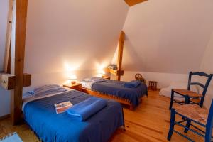 ein Zimmer mit 2 Betten und einem Stuhl darin in der Unterkunft Le Gentil Home Chambres d'Hôtes in Arras-en-Lavedan