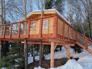 a tree house in the woods in the snow at Treehouse Podpoľanie in Detvianska Huta