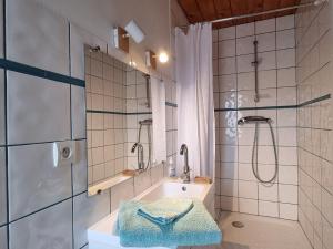 ein Badezimmer mit einer Dusche, einem Waschbecken und einer Badewanne in der Unterkunft Le Gentil Home Chambres d'Hôtes in Arras-en-Lavedan