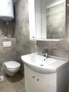 a bathroom with a white sink and a toilet at Ivana apartman 2 in Lovište