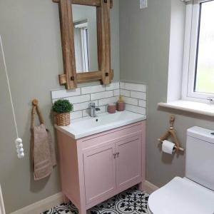 bagno con lavandino, specchio e servizi igienici di Wildthorn Cottage a Moyad