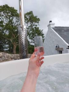 a person holding up a glass of wine at Wildthorn Cottage in Moyad