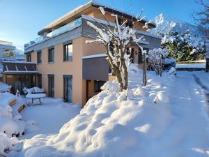 a house covered in snow with a tree in the yard at Oase zum SEIN in Spiez