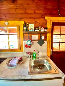 a kitchen with a stainless steel sink in a cabin at Canary Wild House 2 in Carrizal