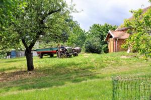 Zahrada ubytování Biohofgut LASCHALT