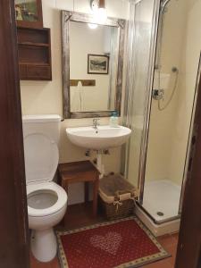uma casa de banho com um WC, um lavatório e um chuveiro em Casa degli orsi - Madonna di Campiglio - Condominio Nardis em Madonna di Campiglio